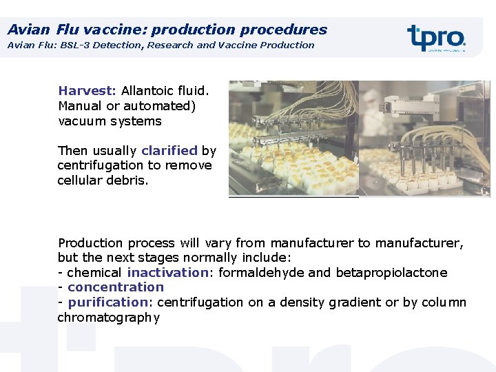 Avian Flu vaccine: production procedures Avian Flu: BSL-3 Detection, Research and Vaccine Production Harvest: