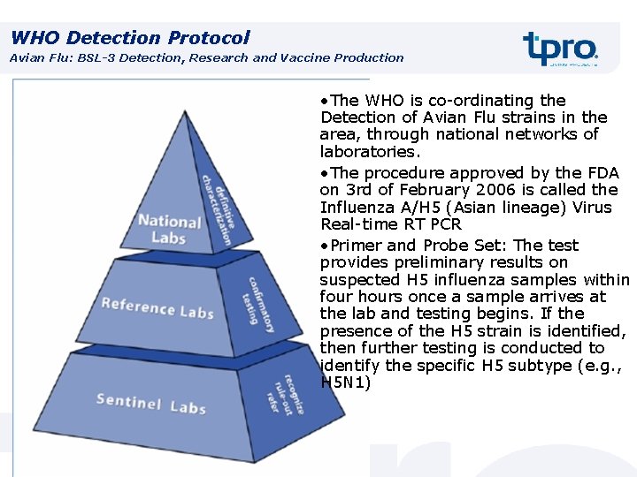 WHO Detection Protocol Avian Flu: BSL-3 Detection, Research and Vaccine Production • The WHO