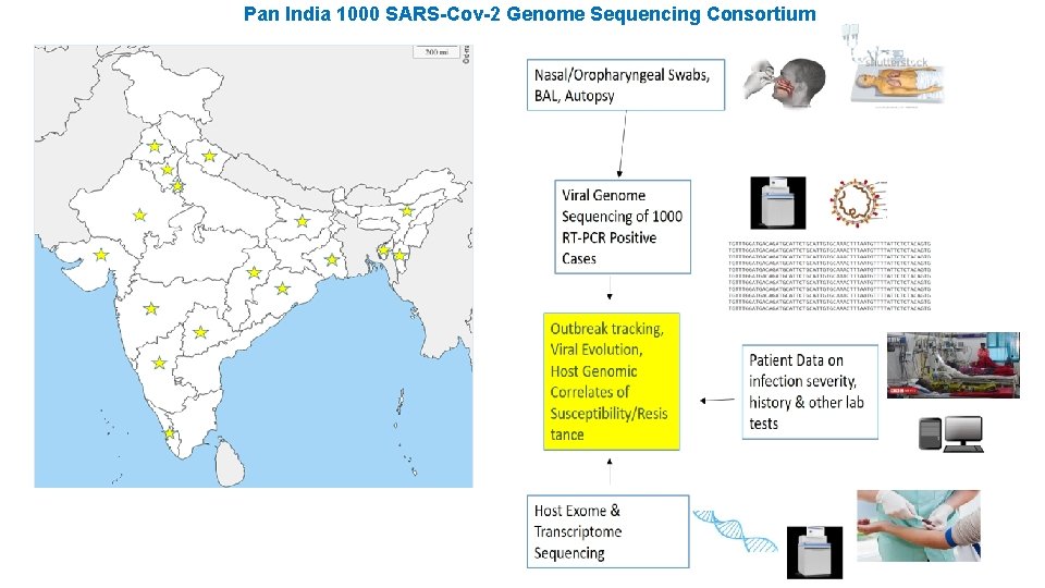 Pan India 1000 SARS-Cov-2 Genome Sequencing Consortium 