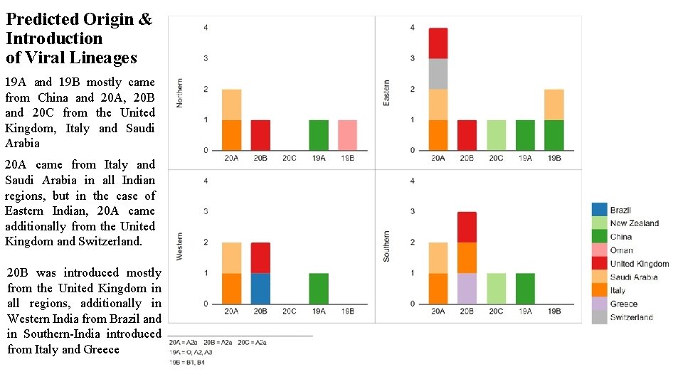 Predicted Origin & Introduction of Viral Lineages 19 A and 19 B mostly came