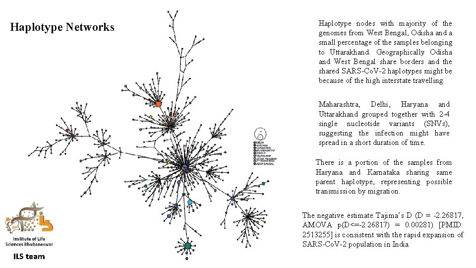 Haplotype Networks Haplotype nodes with majority of the genomes from West Bengal, Odisha and