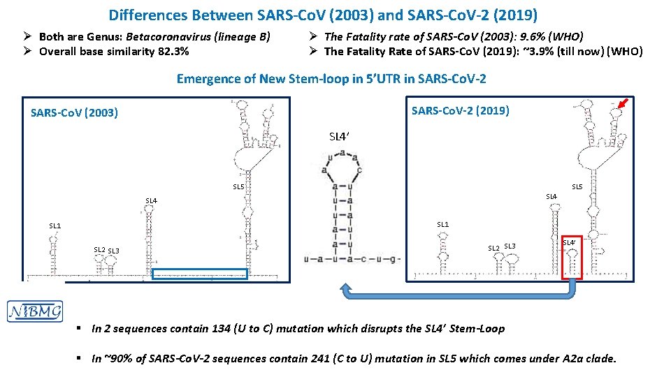 Differences Between SARS-Co. V (2003) and SARS-Co. V-2 (2019) Ø Both are Genus: Betacoronavirus