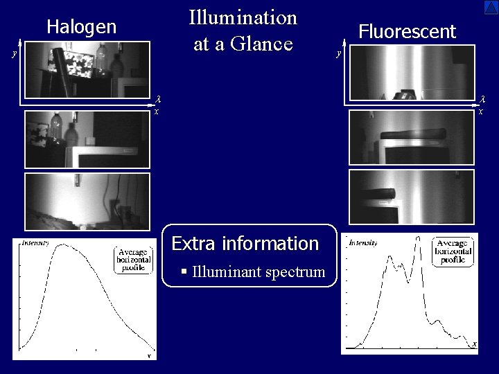 Illumination at a Glance Halogen y Fluorescent y l l x x Extra information
