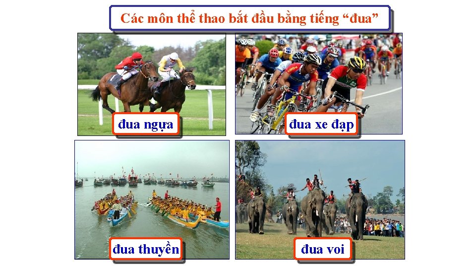 Các môn thể thao bắt đầu bằng tiếng “đua” đua ngựa đua xe đạp