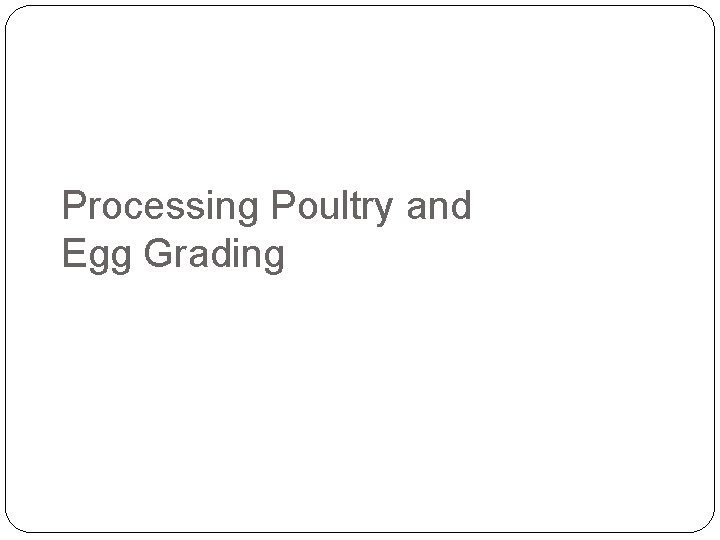 Processing Poultry and Egg Grading 