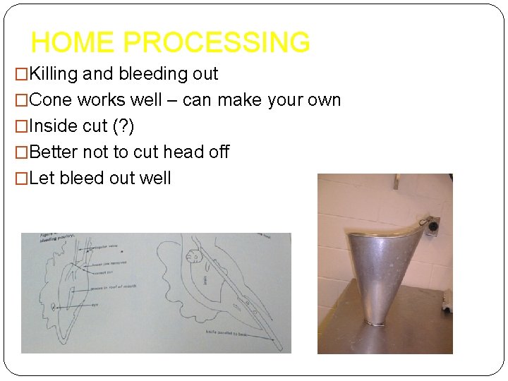 HOME PROCESSING �Killing and bleeding out �Cone works well – can make your own