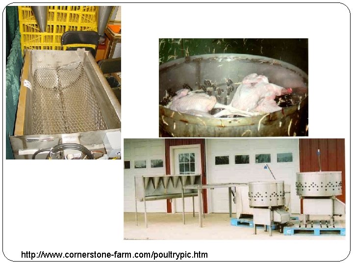 http: //www. cornerstone-farm. com/poultrypic. htm 