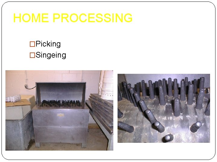 HOME PROCESSING �Picking �Singeing 