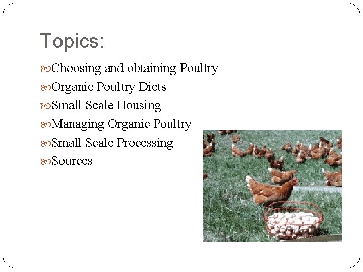 Topics: Choosing and obtaining Poultry Organic Poultry Diets Small Scale Housing Managing Organic Poultry