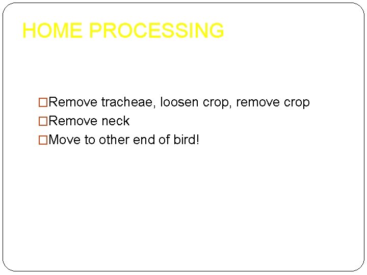 HOME PROCESSING �Remove tracheae, loosen crop, remove crop �Remove neck �Move to other end