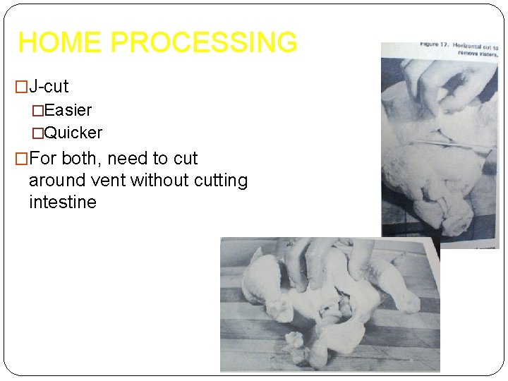 HOME PROCESSING �J-cut �Easier �Quicker �For both, need to cut around vent without cutting