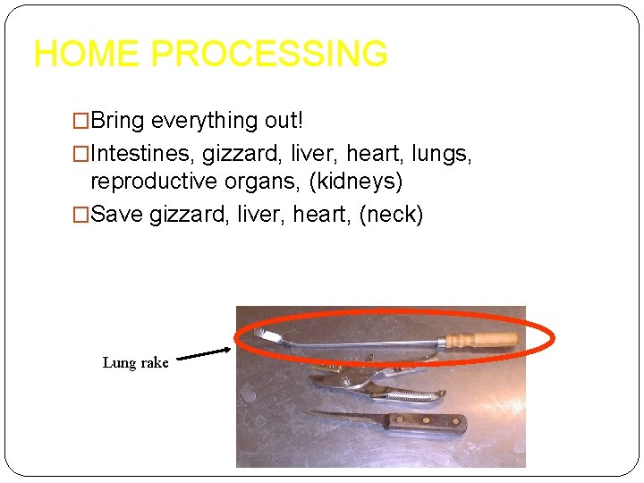 HOME PROCESSING �Bring everything out! �Intestines, gizzard, liver, heart, lungs, reproductive organs, (kidneys) �Save