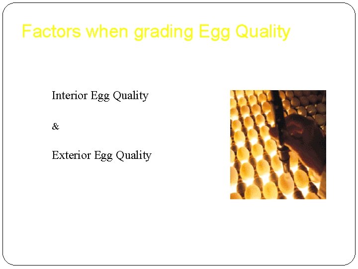 Factors when grading Egg Quality Interior Egg Quality & Exterior Egg Quality 