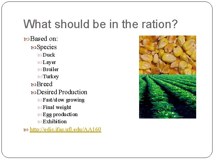 What should be in the ration? Based on: Species Duck Layer Broiler Turkey Breed