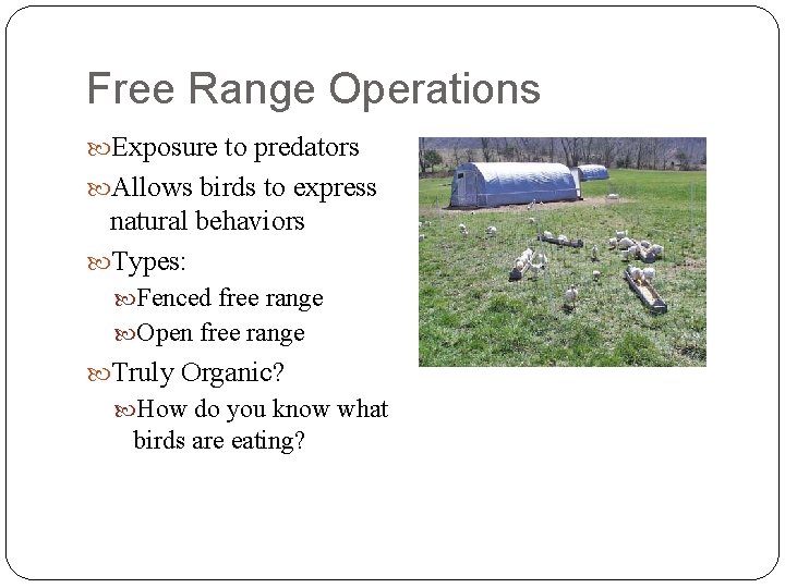 Free Range Operations Exposure to predators Allows birds to express natural behaviors Types: Fenced