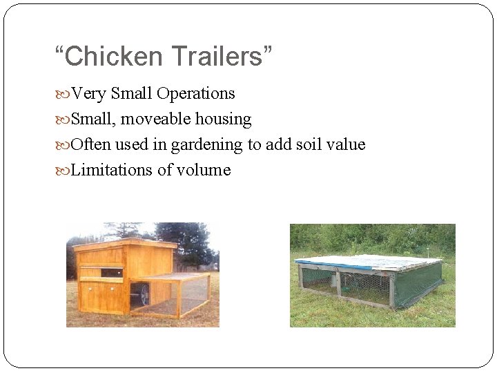 “Chicken Trailers” Very Small Operations Small, moveable housing Often used in gardening to add