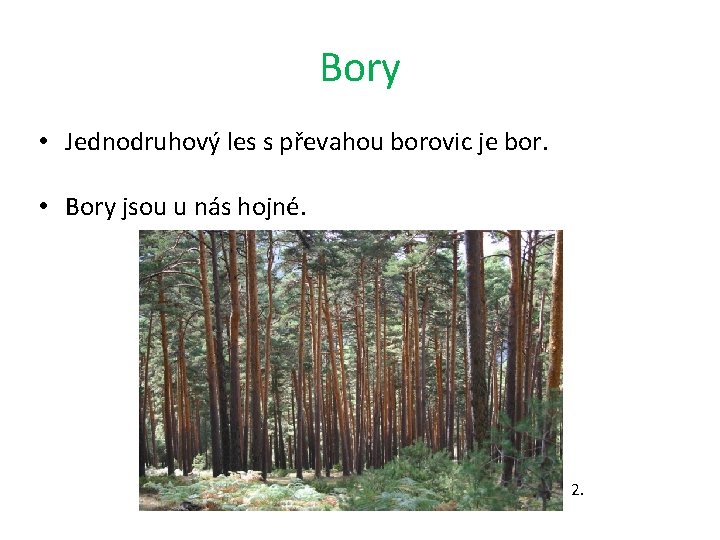 Bory • Jednodruhový les s převahou borovic je bor. • Bory jsou u nás