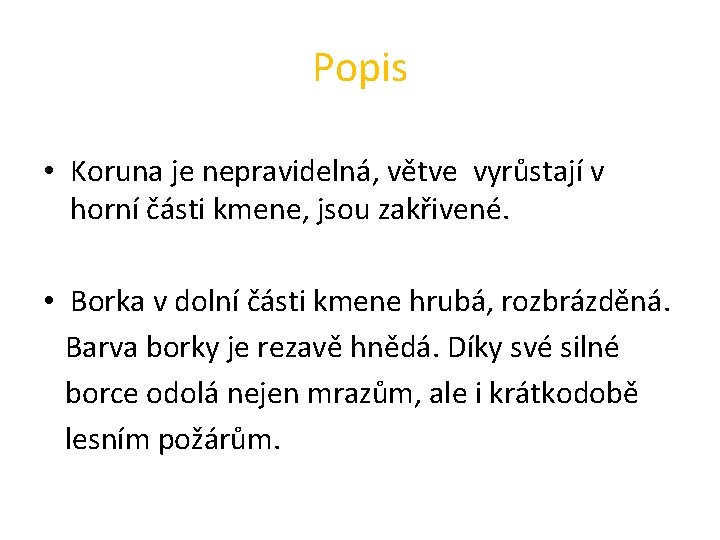 Popis • Koruna je nepravidelná, větve vyrůstají v horní části kmene, jsou zakřivené. •