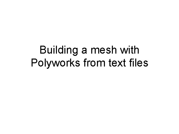 Building a mesh with Polyworks from text files 