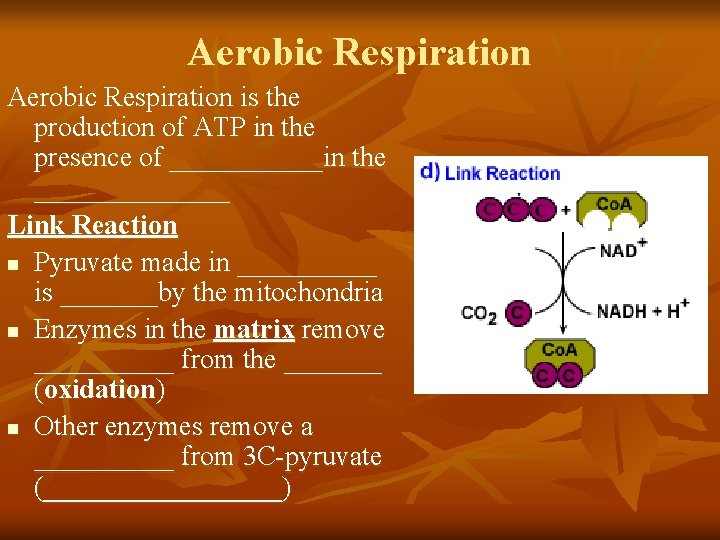 Aerobic Respiration is the production of ATP in the presence of ______in the _______