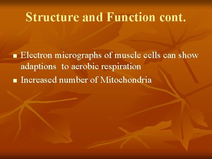 Structure and Function cont. n n Electron micrographs of muscle cells can show adaptions