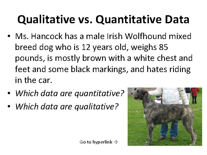 Qualitative vs. Quantitative Data • Ms. Hancock has a male Irish Wolfhound mixed breed