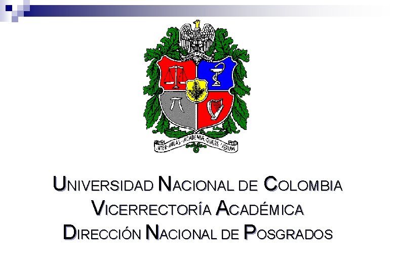 UNIVERSIDAD NACIONAL DE COLOMBIA VICERRECTORÍA ACADÉMICA DIRECCIÓN NACIONAL DE POSGRADOS 