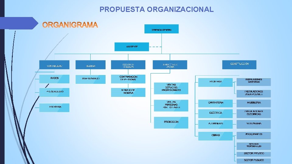 PROPUESTA ORGANIZACIONAL PROPUESTA ORGANIZACIONAL