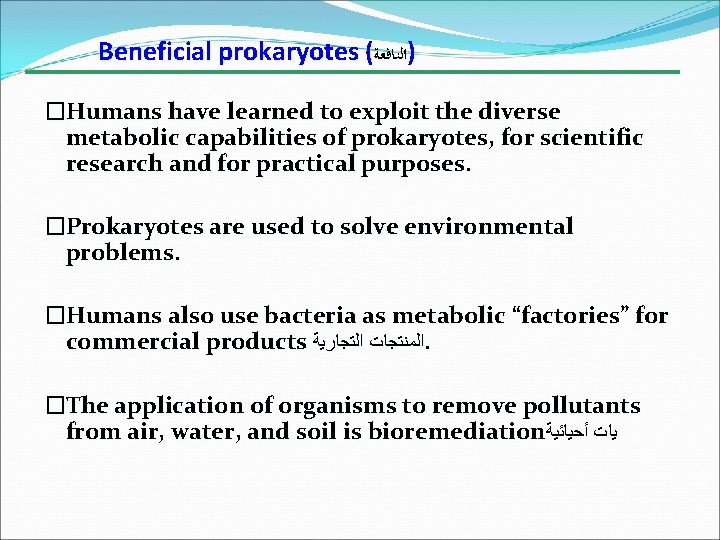 Beneficial prokaryotes ( )ﺍﻟﻨﺎﻓﻌﺔ �Humans have learned to exploit the diverse metabolic capabilities of