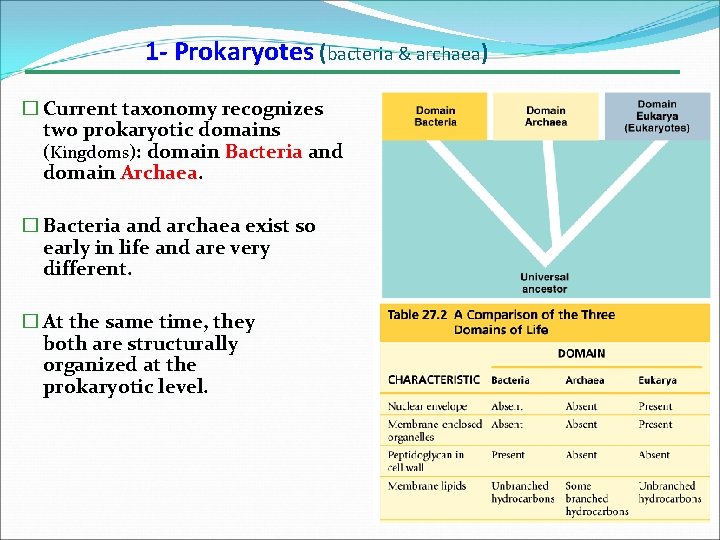 1 - Prokaryotes (bacteria & archaea) � Current taxonomy recognizes two prokaryotic domains (Kingdoms):