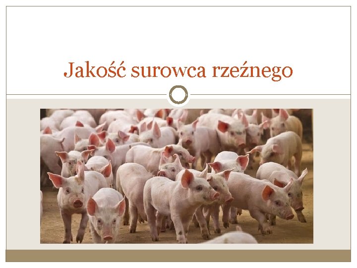 Jakość surowca rzeźnego 