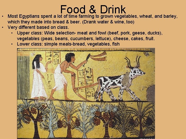  • Food & Drink Most Egyptians spent a lot of time farming to