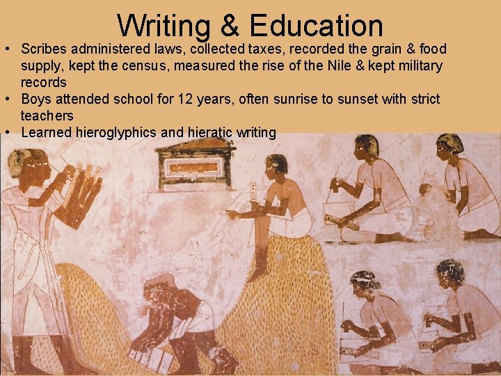 Writing & Education • Scribes administered laws, collected taxes, recorded the grain & food