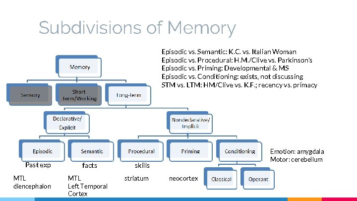 Subdivisions of Memory Episodic vs. Semantic: K. C. vs. Italian Woman Episodic vs. Procedural: