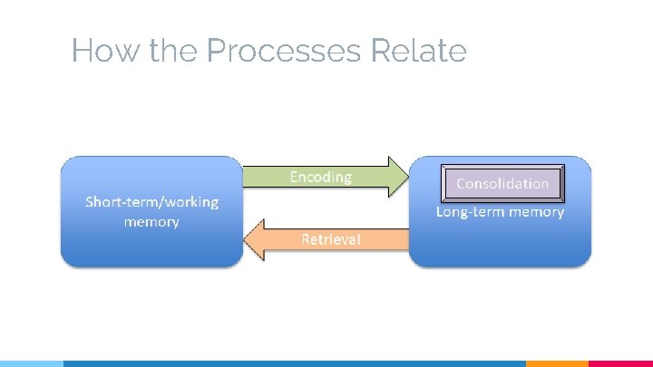 How the Processes Relate 