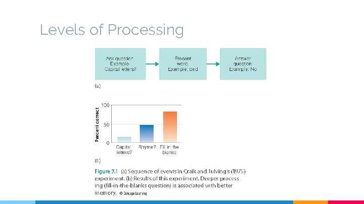 Levels of Processing 