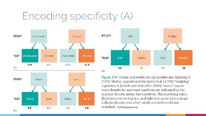 Encoding specificity (A) 