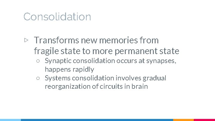 Consolidation ▷ Transforms new memories from fragile state to more permanent state ○ Synaptic