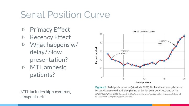 Serial Position Curve ▷ Primacy Effect ▷ Recency Effect ▷ What happens w/ delay?