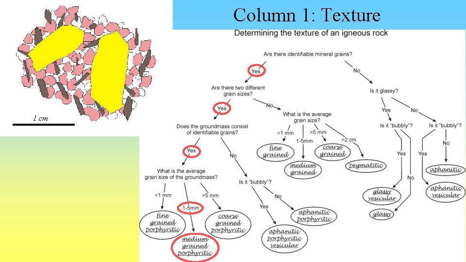 Column 1: Texture 1 cm 