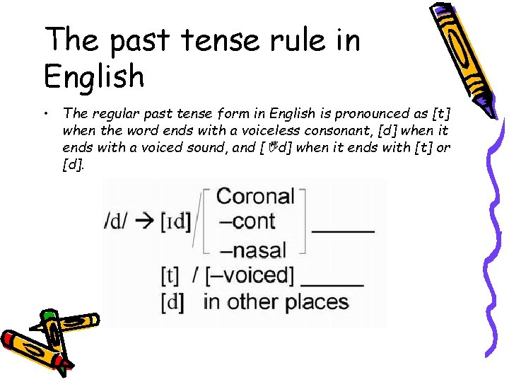 The past tense rule in English • The regular past tense form in English