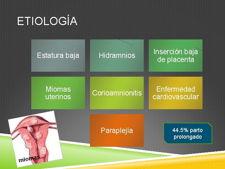 ETIOLOGÍA Estatura baja Hidramnios Inserción baja de placenta Miomas uterinos Corioamnionitis Enfermedad cardiovascular Paraplejía