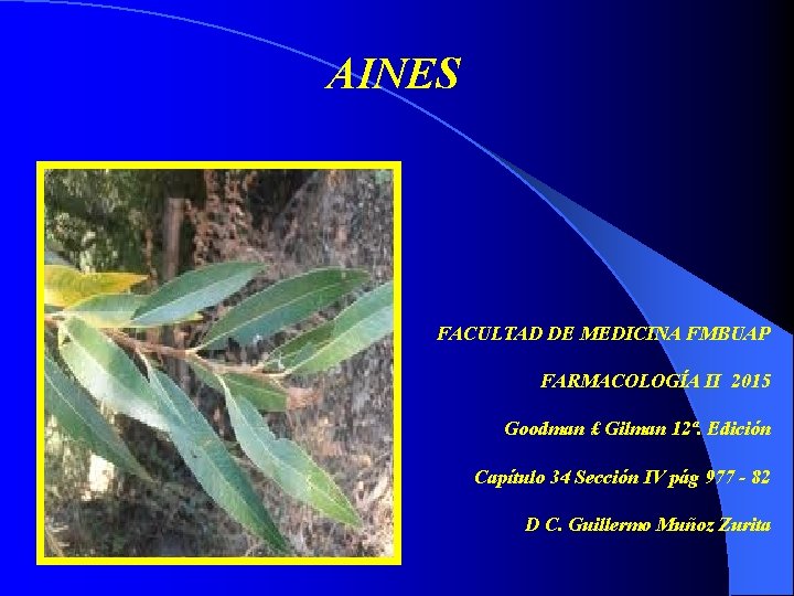 AINES FACULTAD DE MEDICINA FMBUAP FARMACOLOGÍA II 2015 Goodman £ Gilman 12ª. Edición Capítulo