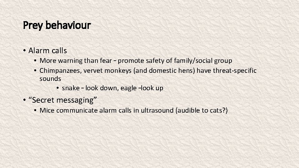 Prey behaviour • Alarm calls • More warning than fear – promote safety of