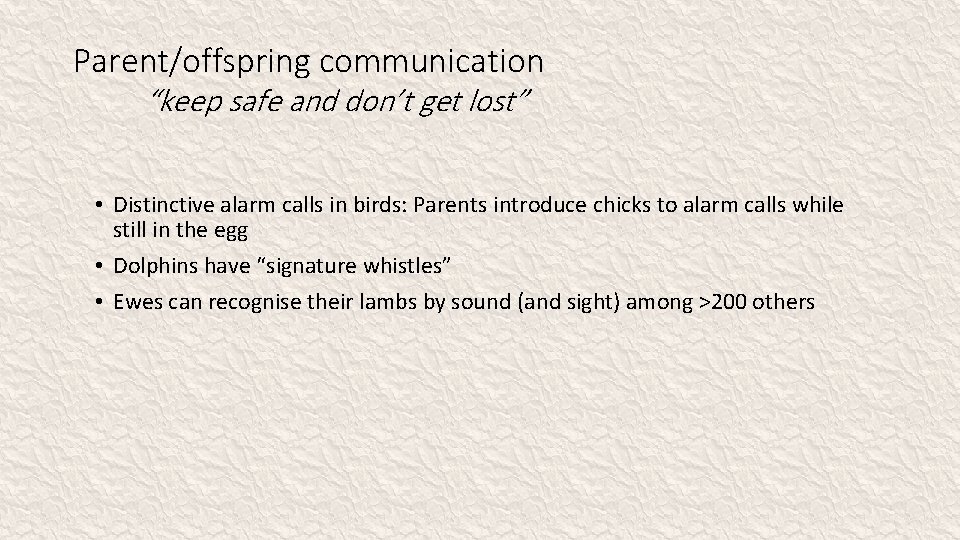 Parent/offspring communication “keep safe and don’t get lost” • Distinctive alarm calls in birds: