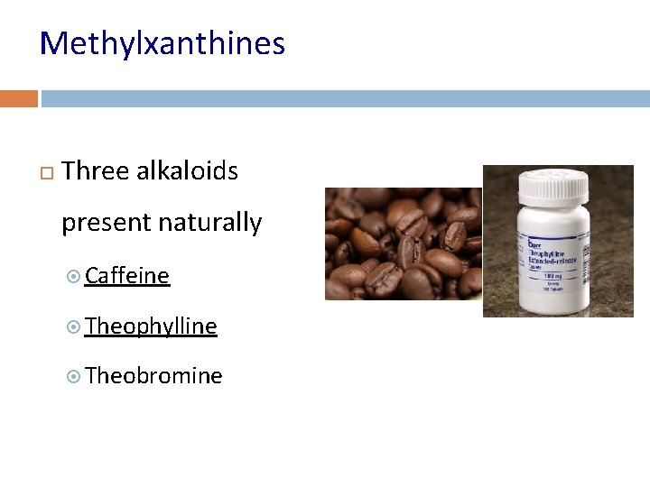 Methylxanthines Three alkaloids present naturally Caffeine Theophylline Theobromine 