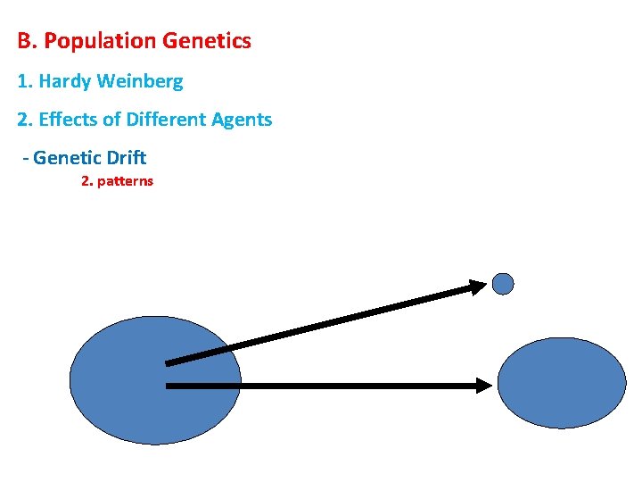 B. Population Genetics 1. Hardy Weinberg 2. Effects of Different Agents - Genetic Drift