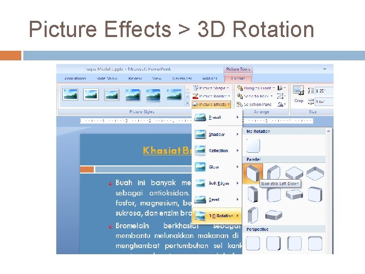 Picture Effects > 3 D Rotation 