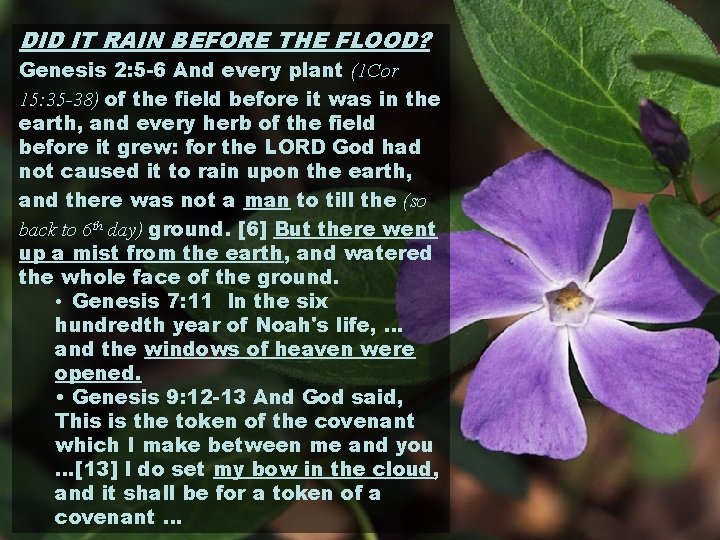 DID IT RAIN BEFORE THE FLOOD? Genesis 2: 5 -6 And every plant (1 DID IT RAIN BEFORE THE FLOOD? Genesis 2: 5 -6 And every plant (1
