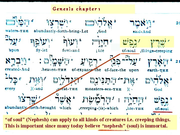 Genes. Is chapter 1 “of soul” (Nephesh) can apply to all kinds of creatures Genes. Is chapter 1 “of soul” (Nephesh) can apply to all kinds of creatures